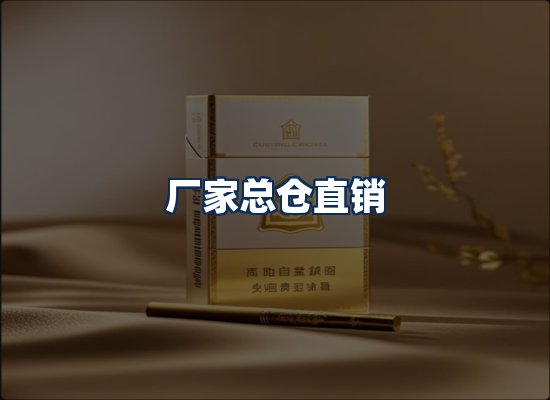 专业团队办公环境